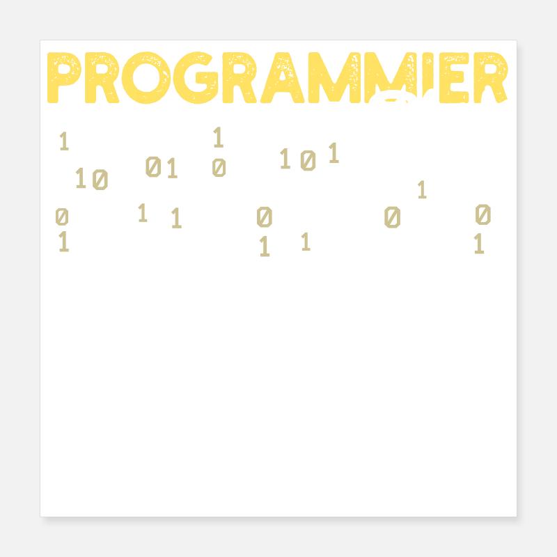 Déclaration du développeur Coden Scripting Développeur Web Poster 40 x 40 cm