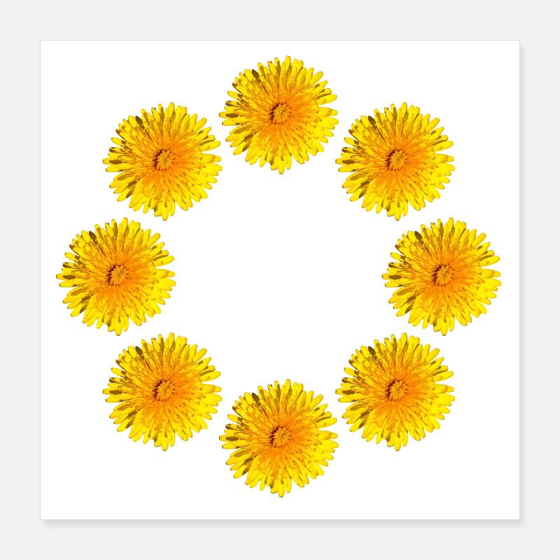 LÖWENZAHN III Poster 40x40 cm