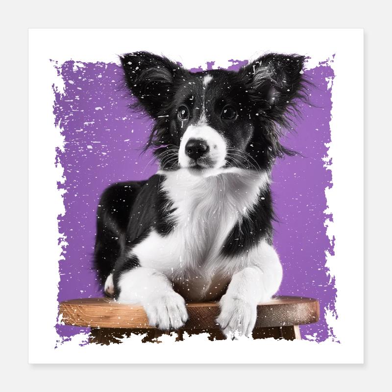 Hund sitzt auf Hocker Poster 40x40 cm