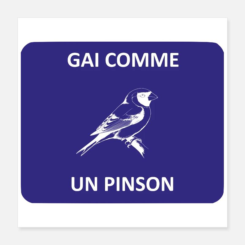 finch Poster 16" x 16" (40x40 cm)