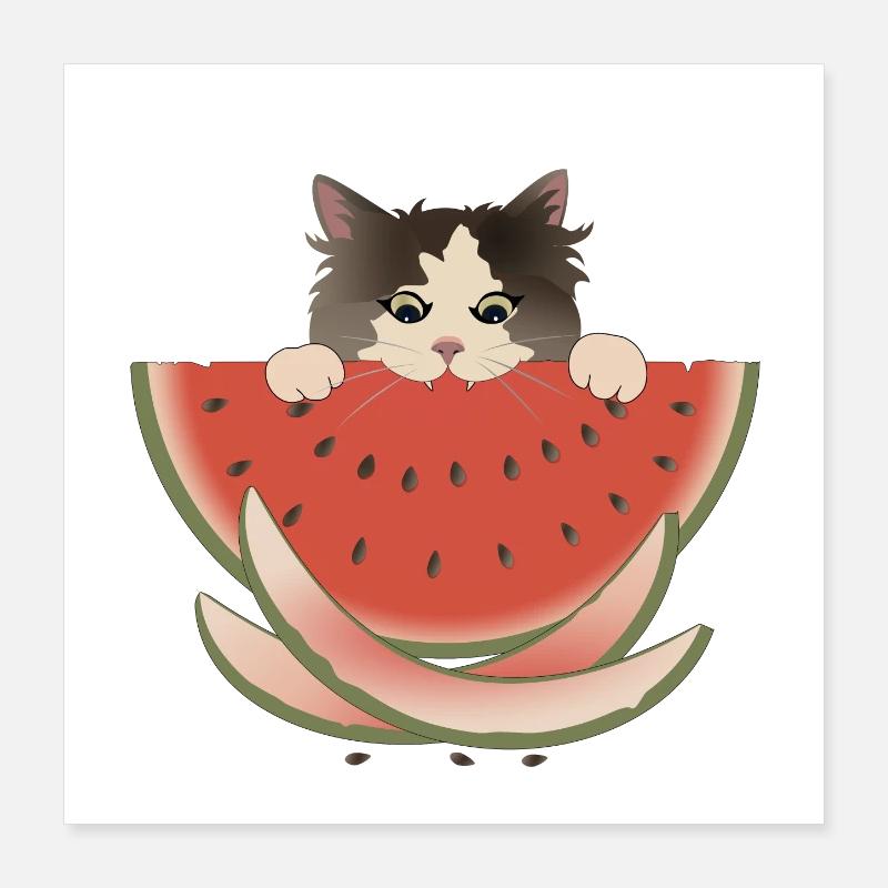 Délice de pastèque Chat Poster 40 x 40 cm