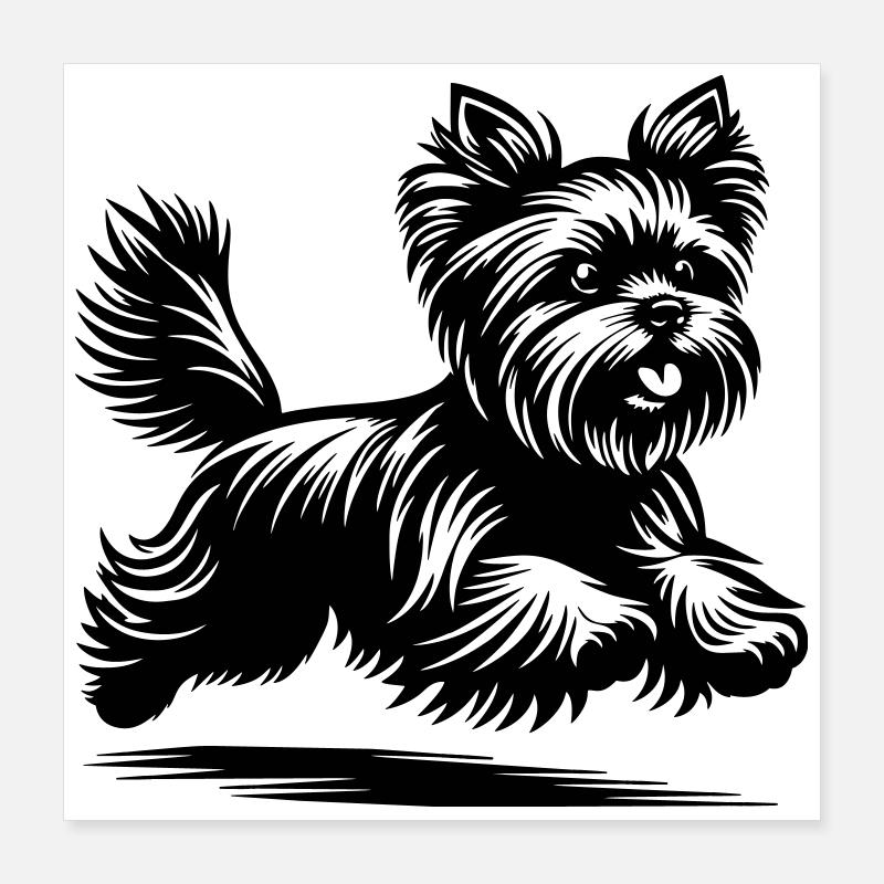 Yorkshire Terrier Poster 40x40 cm