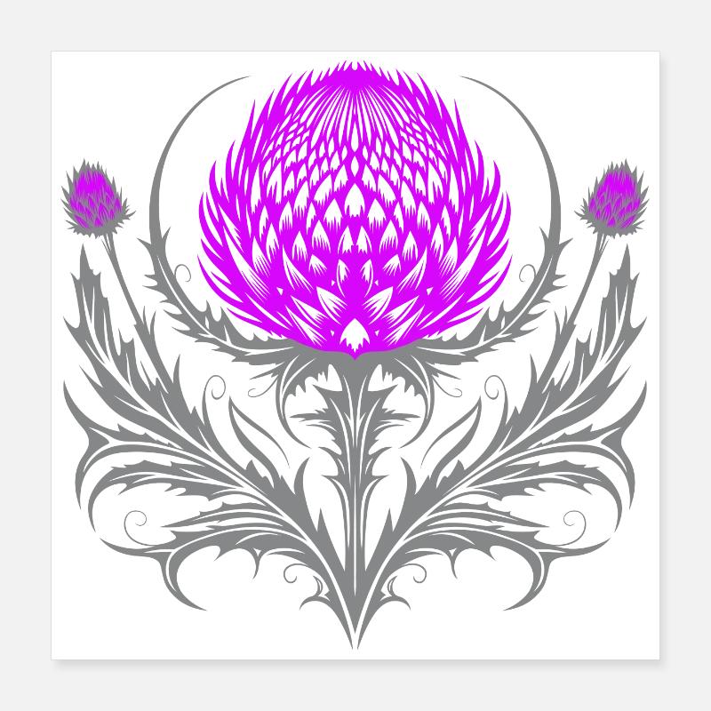 Distel Tattoo Scottish Thistle Botanical Art Poster 40x40 cm