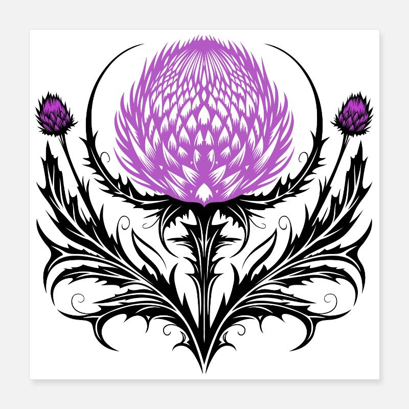 Distel Tattoo Scottish Thistle Botanical Art Poster 40x40 cm