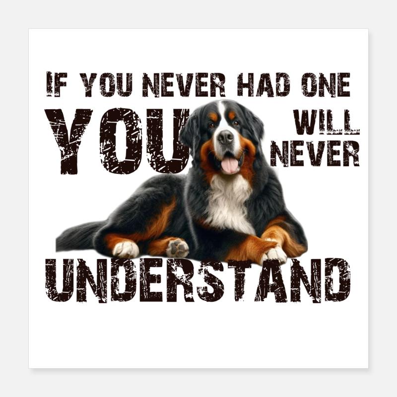 Bouvier bernois Poster 40 x 40 cm