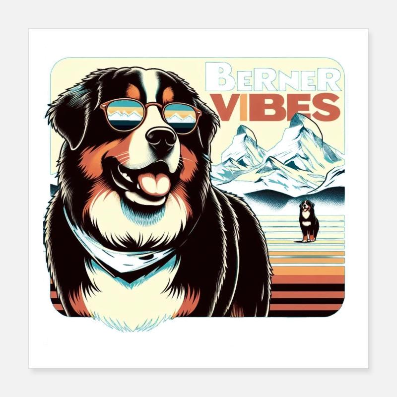 Bouvier bernois Poster 40 x 40 cm