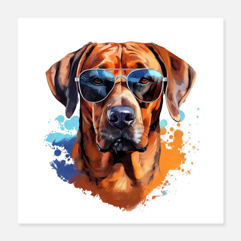 Rhodesian Ridgeback with Sunglasses Poster 16" x 16" (40x40 cm)
