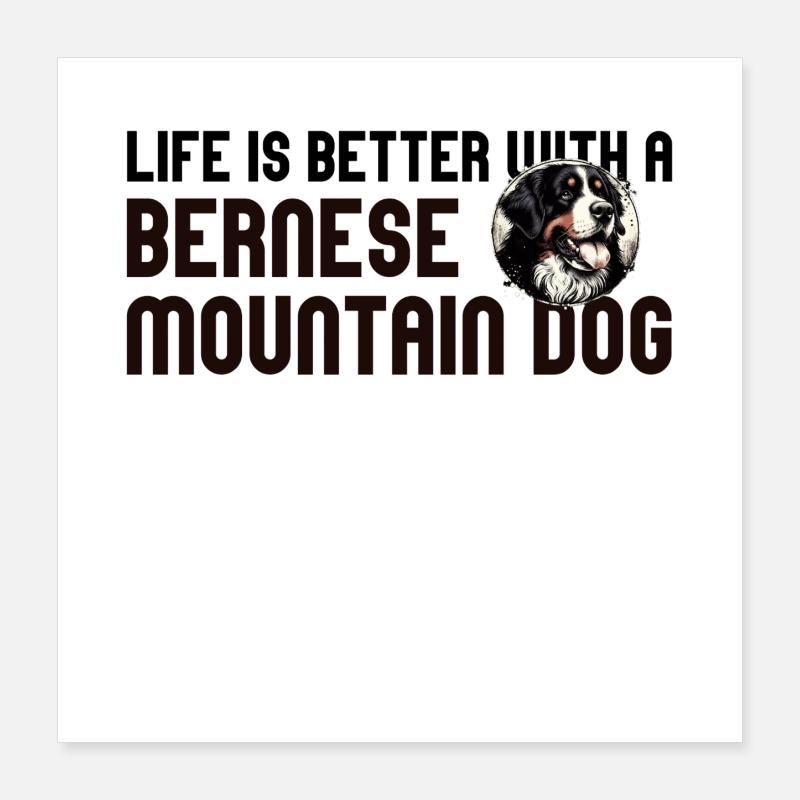 Bernese mountain dog Poster 16" x 16" (40x40 cm)
