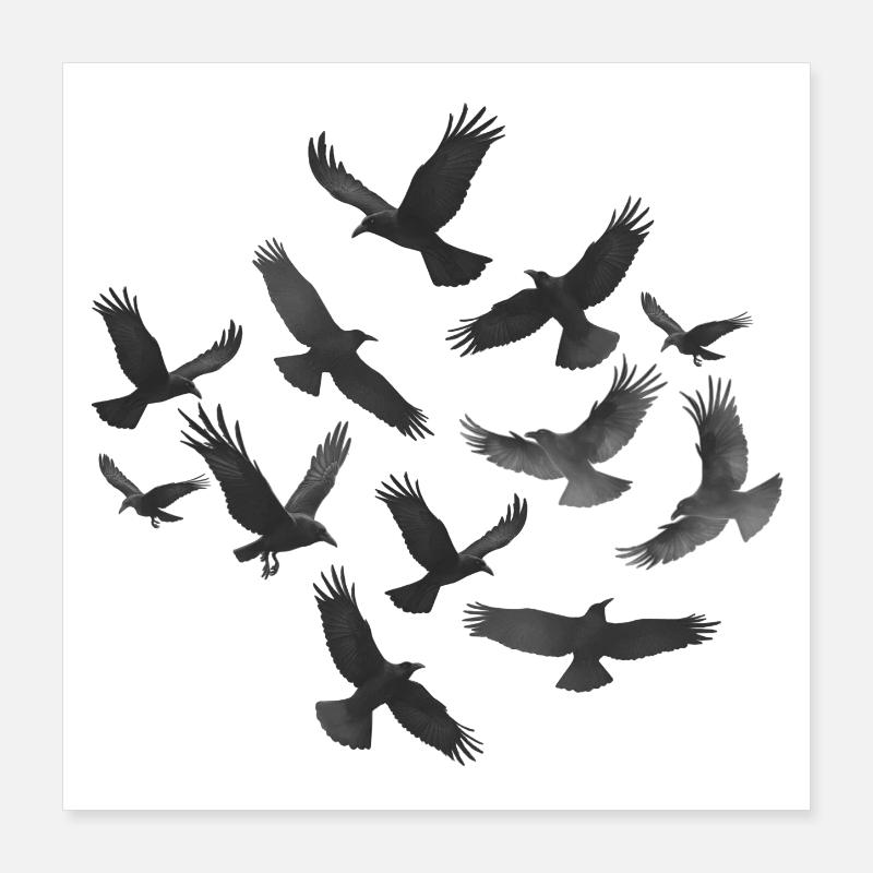 Vogelschwarm, gothic design, Animal prints Poster 40x40 cm