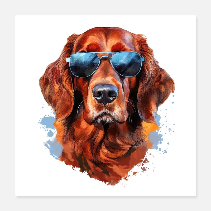 Irish Setter mit Sonnebrille Poster 40x40 cm