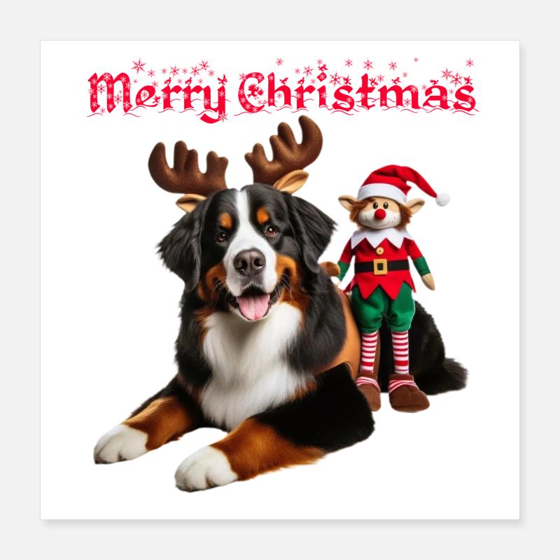 Bouvier Bernois de Noël Poster 40 x 40 cm