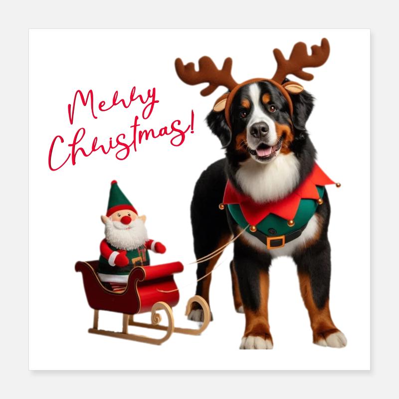 Bouvier Bernois de Noël Poster 40 x 40 cm