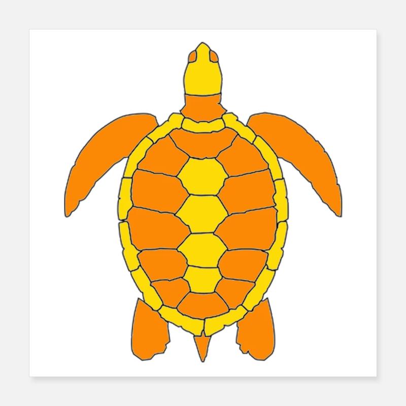 TORTUE Poster 40 x 40 cm