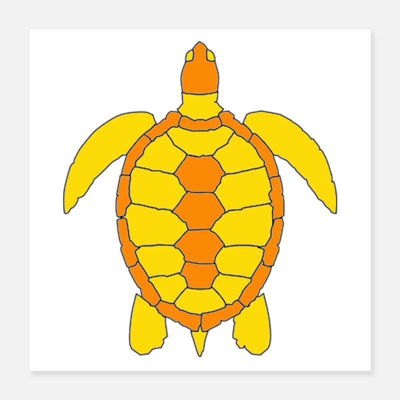 TORTUE Poster 40 x 40 cm