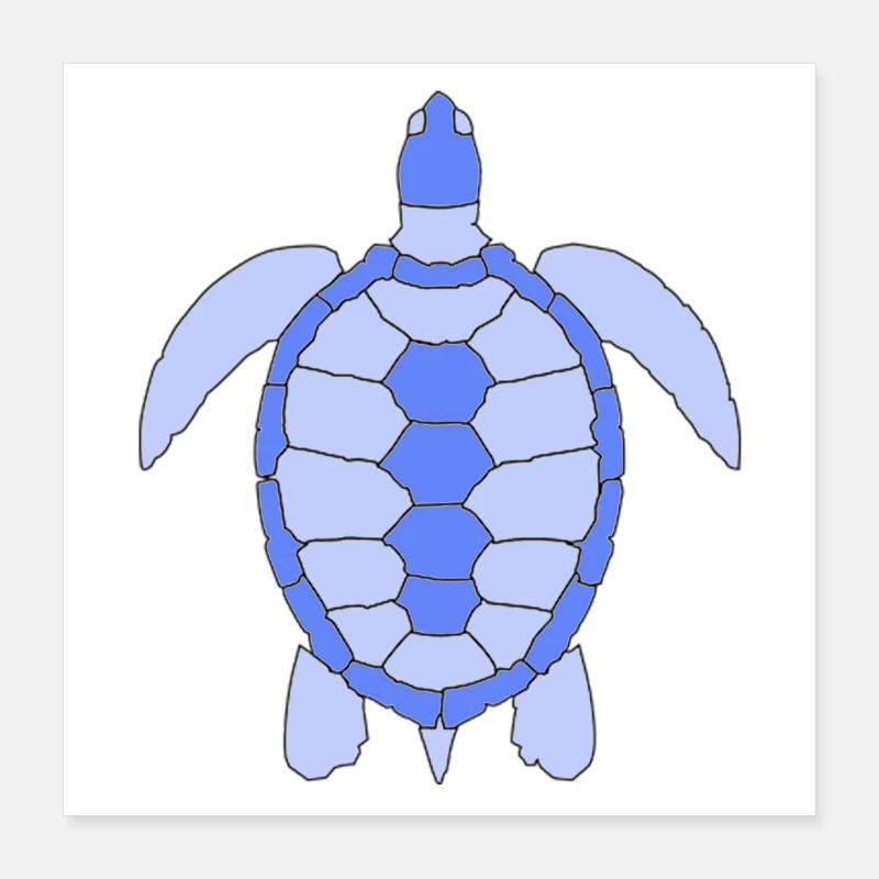 TORTUGA Poster 40 x 40 cm