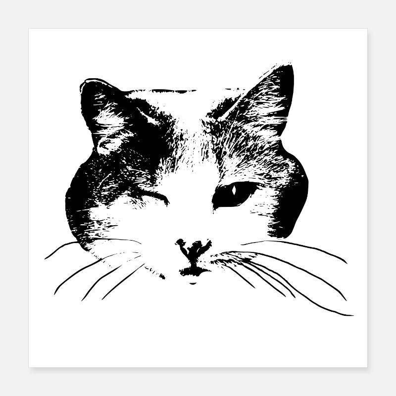Clin d’œil minou Poster 40 x 40 cm