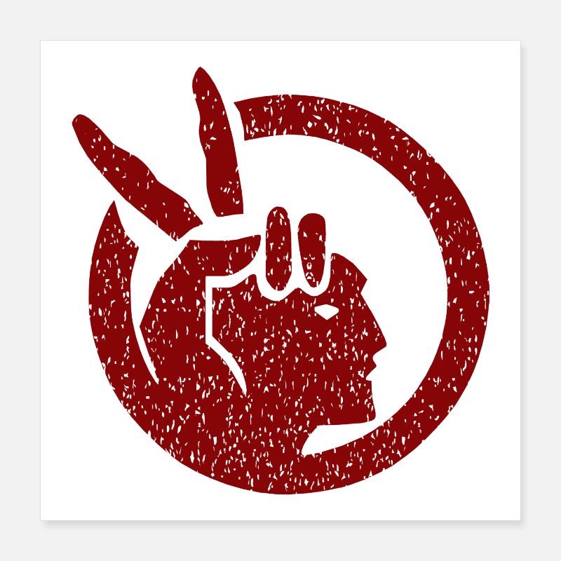 Drapeau de l’American Indian Movement Poster 40 x 40 cm