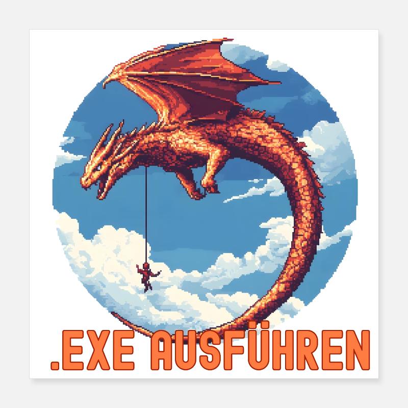 EXE AUSFÜHREN Drachen Admin IT Informatik Lustig Poster 40x40 cm