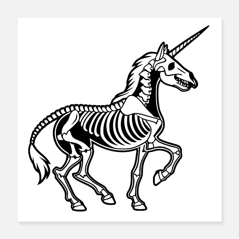 Einhorn‑Skelett – Schwarze Vektor‑Anatomie Poster 40x40 cm