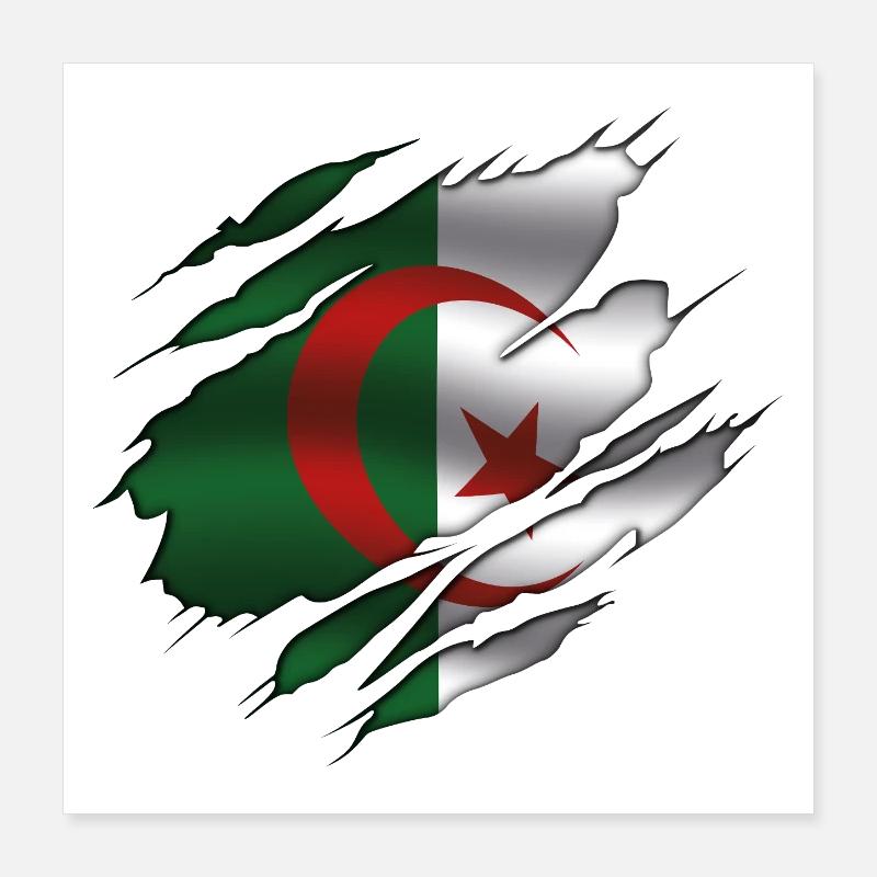 Drapeau de l’Algérie - Algérie - Drapeau déchiré Poster 40 x 40 cm