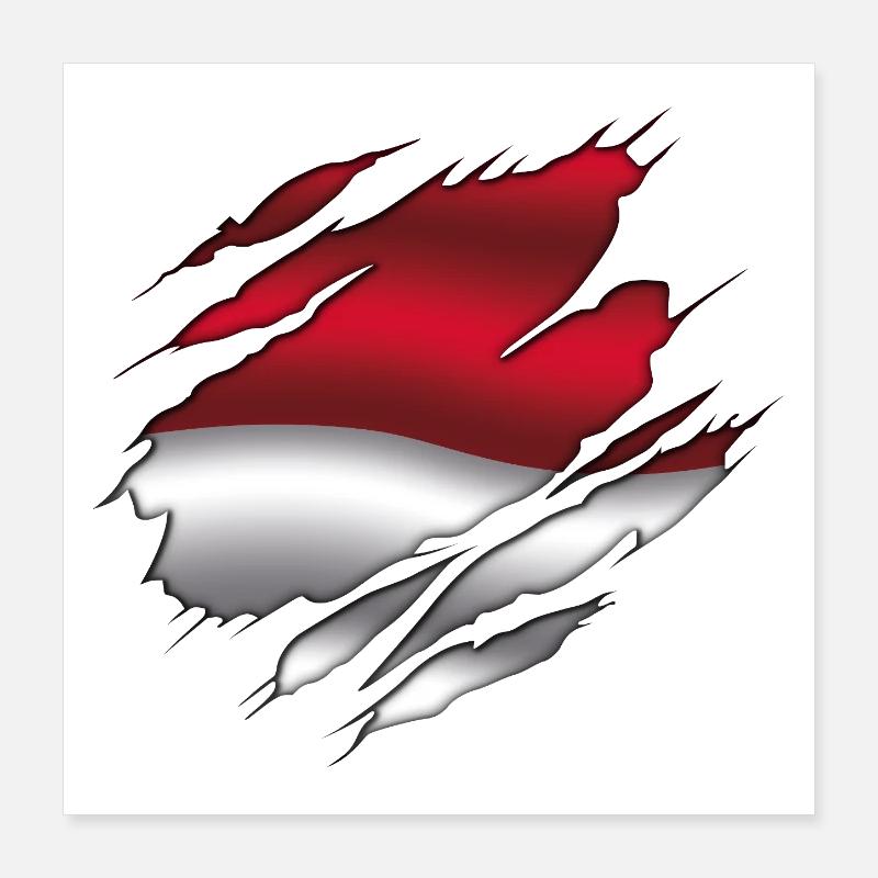Drapeau de l’Indonésie - Indonésie - Drapeau déchiré Poster 40 x 40 cm