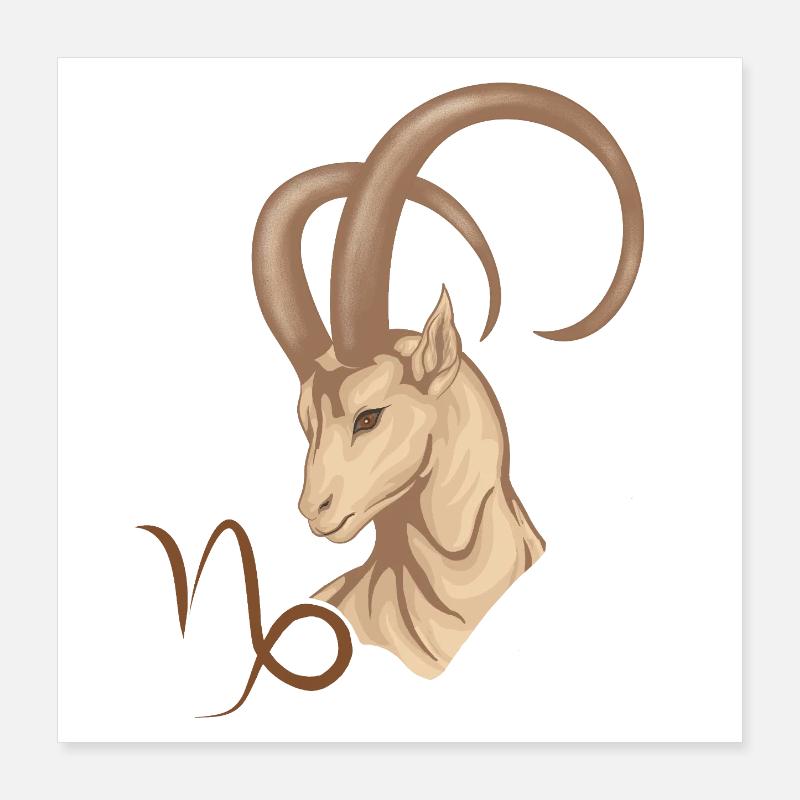 Sternzeichen Steinbock Poster 40x40 cm