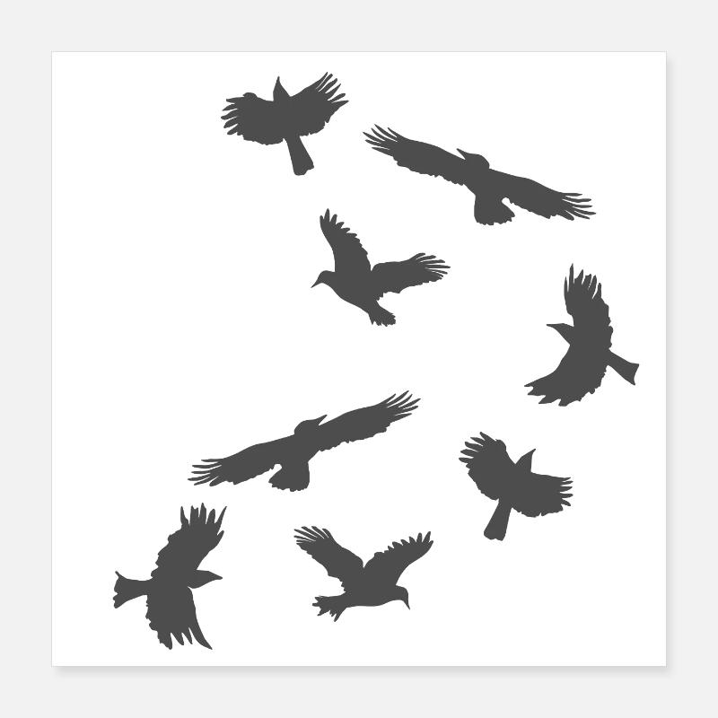 rabenschwarm, vögel Poster 40x40 cm