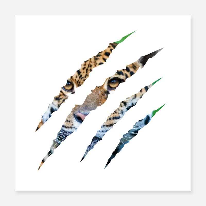 Wild Instinct – Tiger Eyes Through the Claw Poster 16" x 16" (40x40 cm)