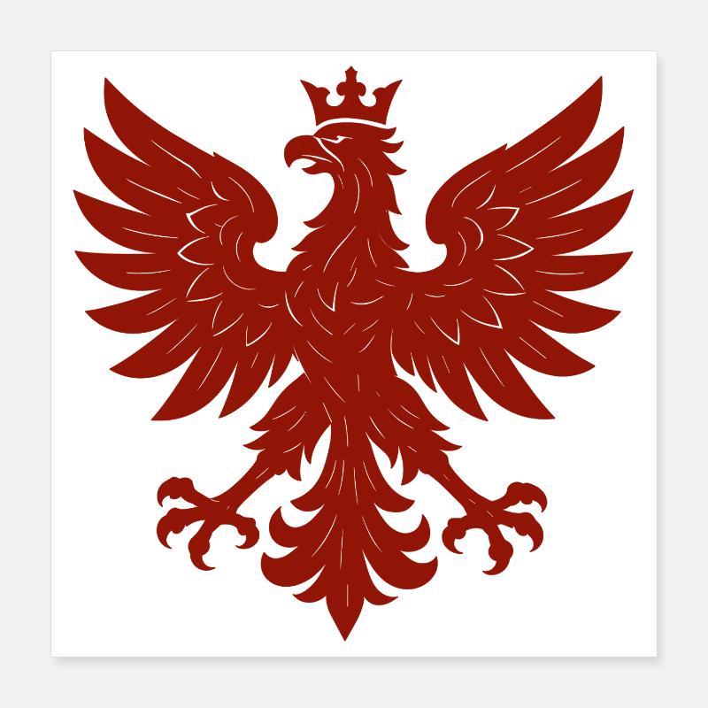 Pologne Polska aigle drapeau drapeau épique cadeau Poster 40 x 40 cm