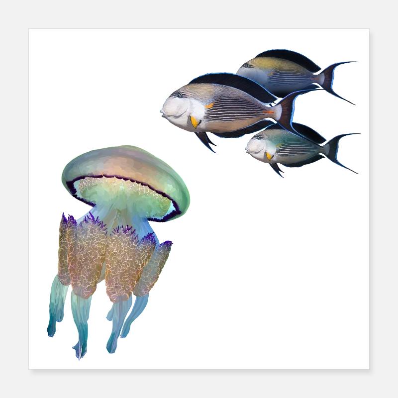 Méduse Poster 40 x 40 cm