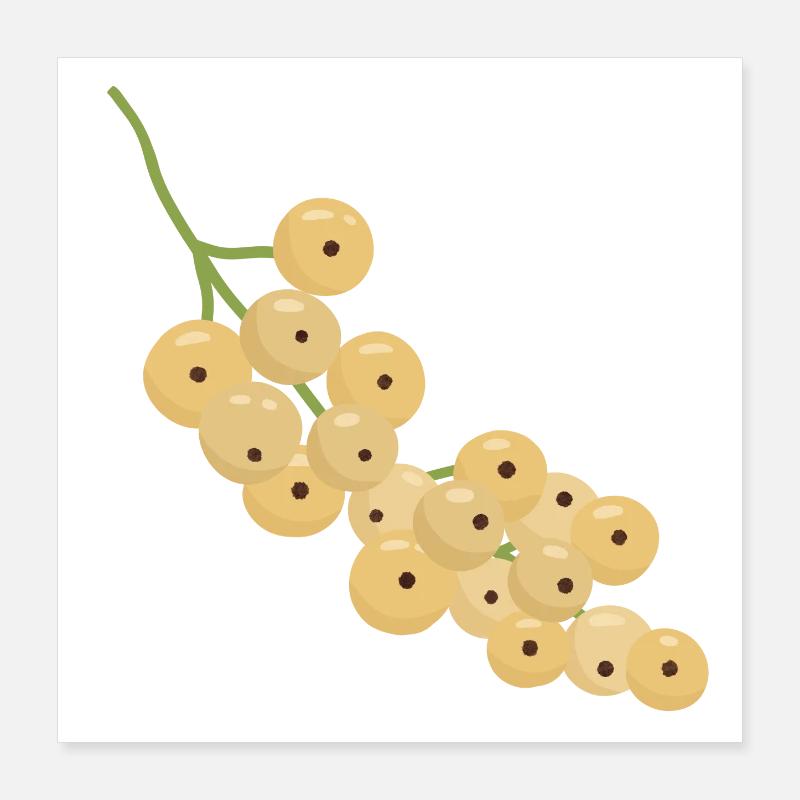 White Currant Bunch Illustration Poster 16" x 16" (40x40 cm)