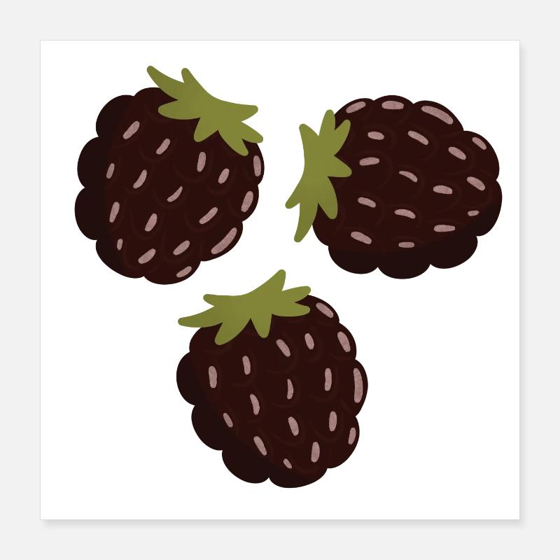 Berry Delight Illustrative Design Poster 16" x 16" (40x40 cm)