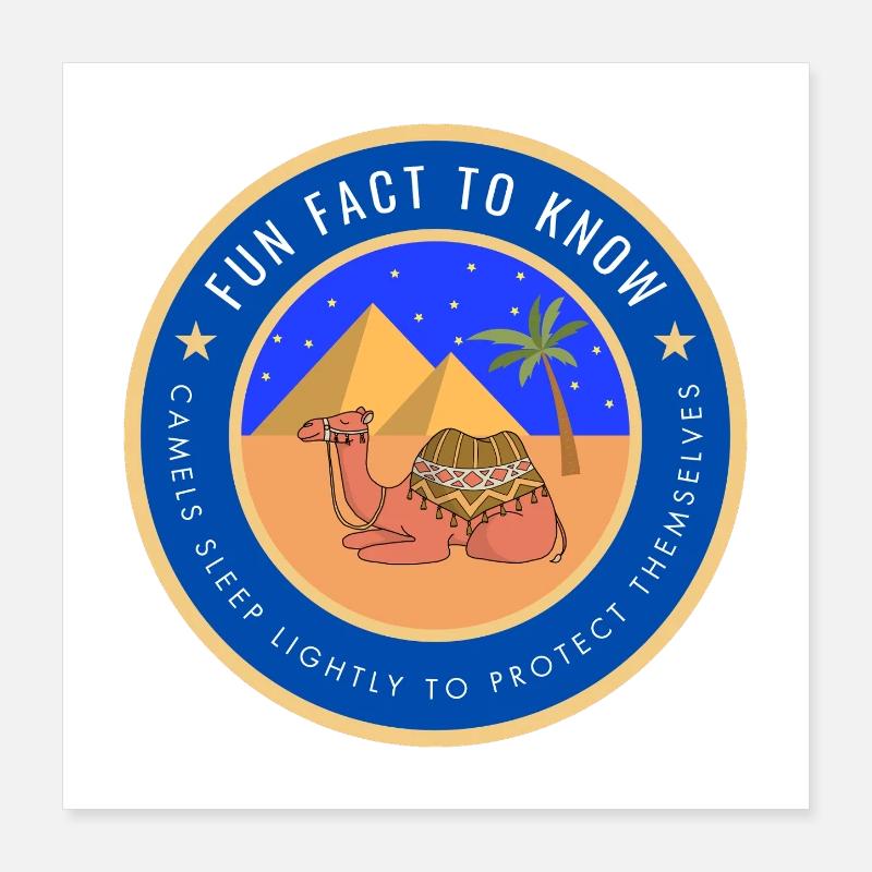 Desert Camel Fact Poster 16" x 16" (40x40 cm)
