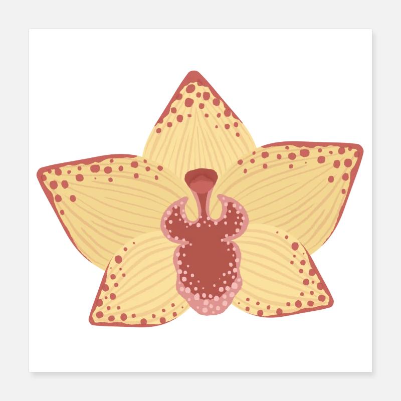 Illustration élégante de fleur d’orchidée Poster 40 x 40 cm