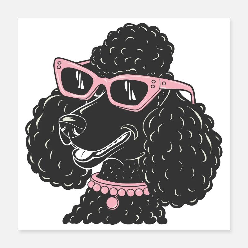 Drôle de caniche Poster 40 x 40 cm