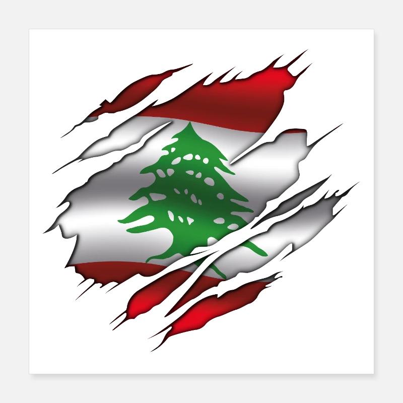 Drapeau du Liban - Drapeau déchiré Poster 40 x 40 cm