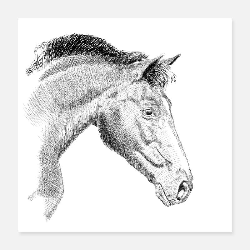 Cheval Poster 40 x 40 cm