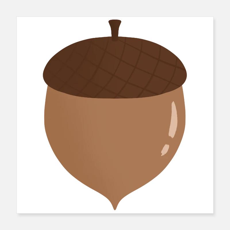 Acorn Illustration Poster 16" x 16" (40x40 cm)