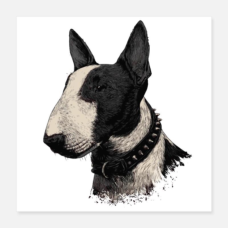 Bullterrier  Poster 40x40 cm