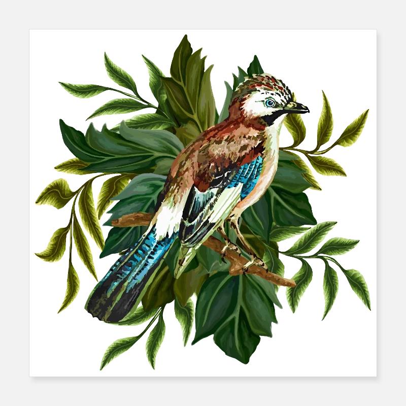 Oiseau coloré Poster 40 x 40 cm