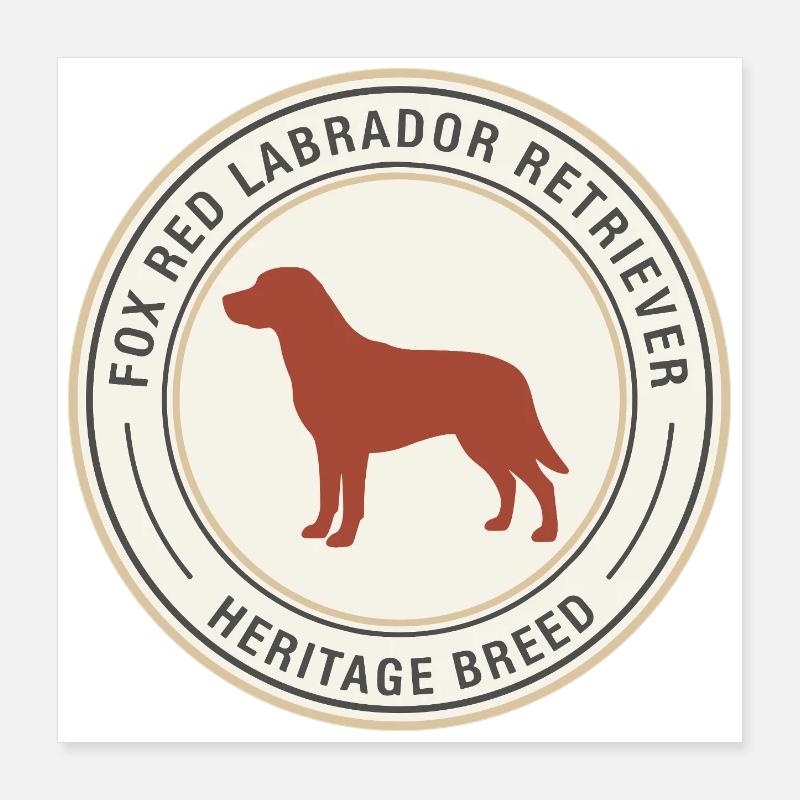 Labrador Retriever Emblem Design Poster 40x40 cm