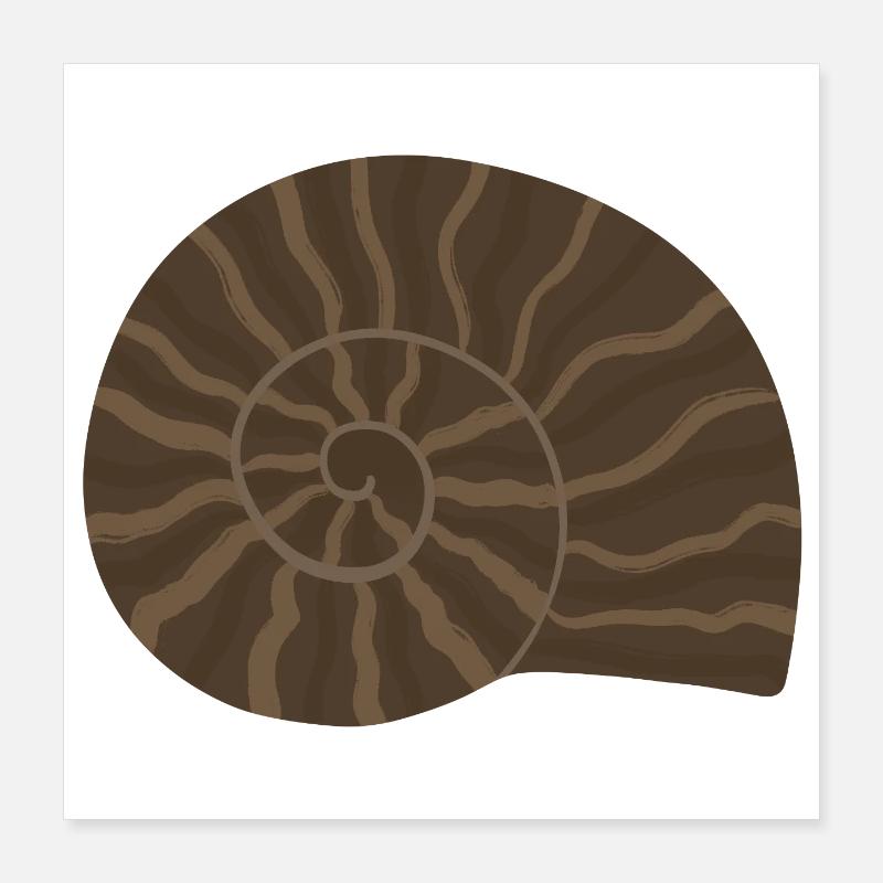 Elegant Ammonite Fossil Pattern Design Poster 16" x 16" (40x40 cm)