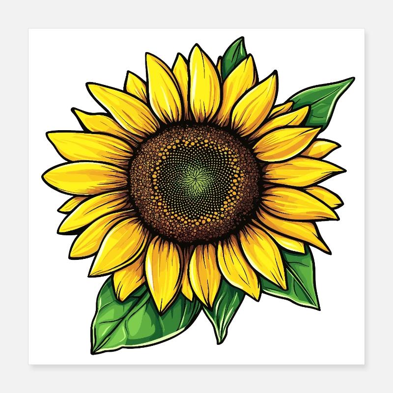 Illustration graphique vectorielle de tournesol Poster 40 x 40 cm