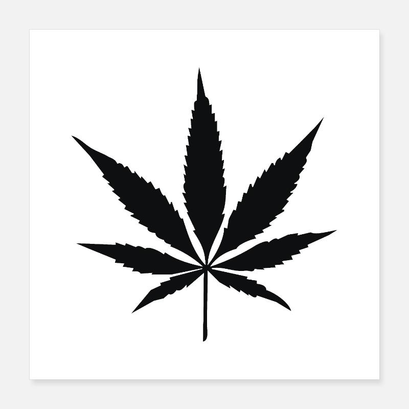 Silhouette von Cannabisblättern Poster 40x40 cm