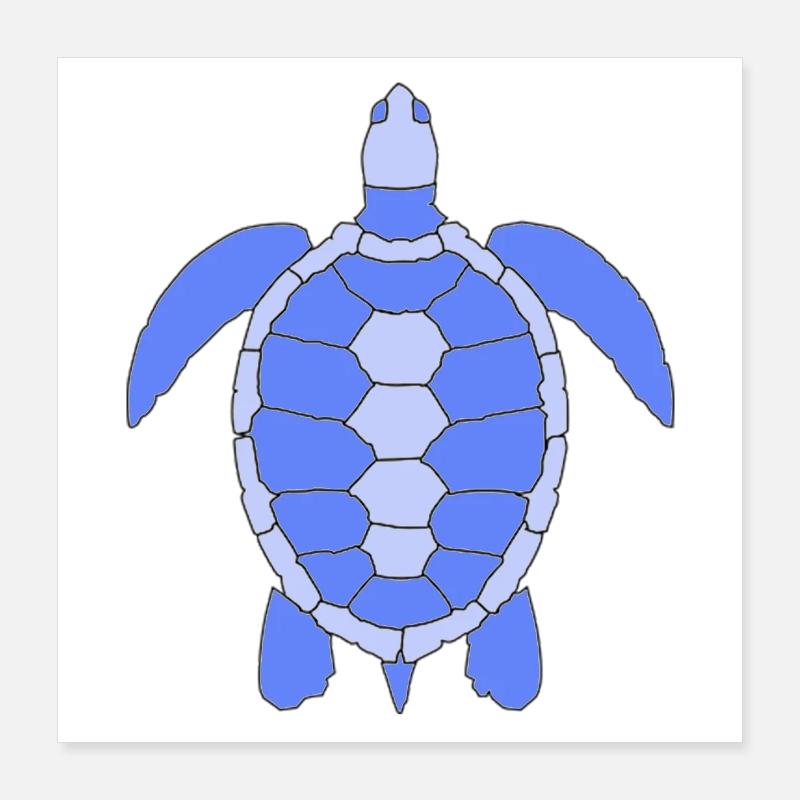 Tortue Poster 40 x 40 cm