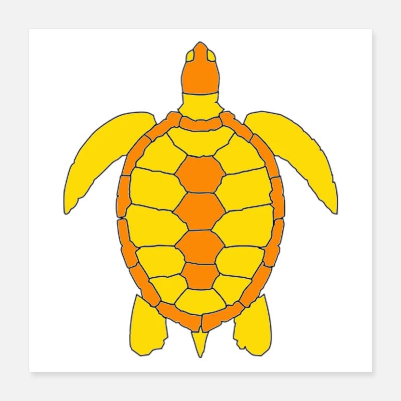 Tortue Poster 40 x 40 cm