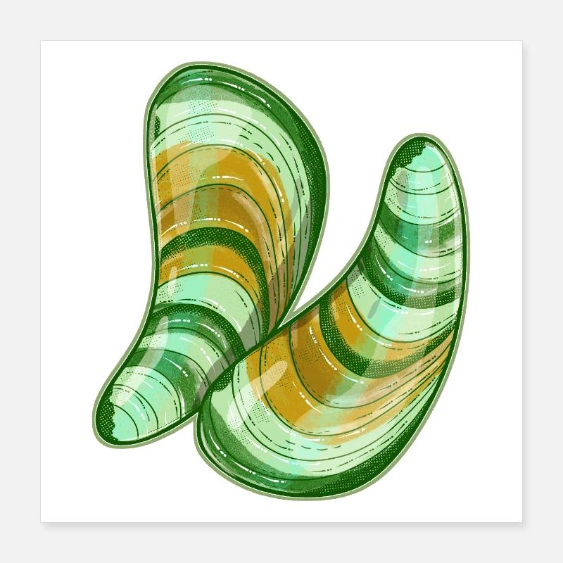 Illustration de moules à lèvres vertes Poster 40 x 40 cm