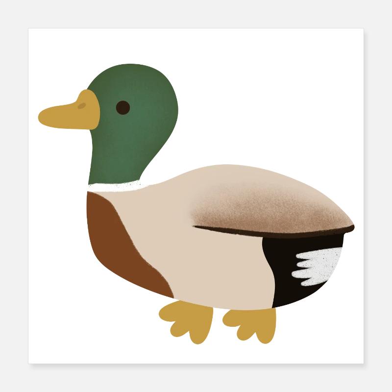 Mallard Duck Minimal Illustration Poster 16" x 16" (40x40 cm)