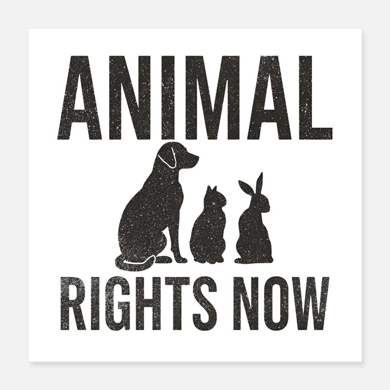 Animal Rights Now Conception typographique Poster 40 x 40 cm