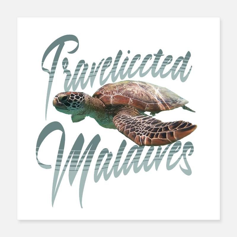 Malediven Schildkröte Poster 40x40 cm